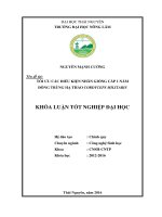 Tối ưu các điều kiện nhân giống cấp 1 nấm đông trùng hạ thảo cordyceps militaris 