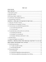 Giải pháp kỹ thuật chống thấm cho đập đất khi được tôn cao mở rộng do nhu cầu sử dụng nước và biến đổi khí hậu 