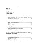 Nghiên cứu lựa chọn hình thức công trình và giải pháp thi công công trình bảo vệ bờ biển xóm rớ tỉnh phú yên 