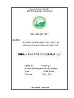 Đánh giá đa hình di truyền của một số giống cam bằng kỹ thuật RAPD và ISSR 