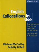 English collocations in use (intermediate)  