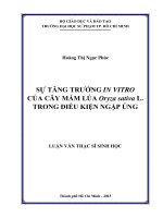 Sự tăng trưởng In Vitro của cây mầm lúa Oryza Sativa l. trong điều kiện ngập úng