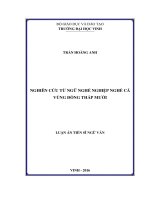 Nghiên cứu từ ngữ nghề nghiệp nghề cá vùng Đồng Tháp Mười (LA tiến sĩ)