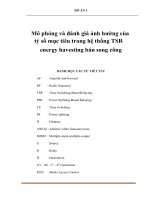 Mô phỏng và đánh giá ảnh hưởng của tỷ số mục tiêu trong hệ thống TSR energy havesting bán song công