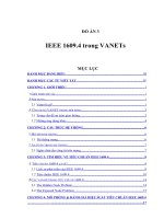IEEE 1609.4 trong VANETs