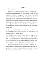 văn hoá công sở tại UBND quận tây hồ