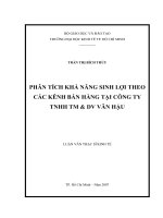 Phân tích khả năng sinh lợi theo các kênh bán hàng tại Công Ty TNHH TM & DV Vân Hậu