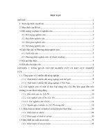 Đánh giá sự tích lũy kim loại nặng (as, cd, pb) trong đất trồng rau huyện hoài đức  hà nội và đề xuất giải pháp giảm thiểu 