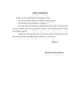 Quản trị nguồn nhân lực ở Tổng công ty Điện lực CHDCND Lào - Lý luận thực tiễn và giải pháp