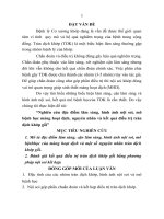 Nghiên cứu đặc điểm lâm sàng, hình ảnh nội soi, mô bệnh học màng hoạt dịch, nguyên nhân và kết quả điều trị tràn dịch khớp gối 