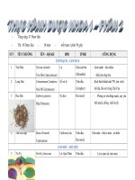 10 DUOC LIEU NHAN BIET DƯỢC LIỆU