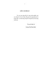 Tiếp cận và phân tích động thái giá cả - lạm phát của Việt Nam trong thời kỳ đổi mới bằng một số mô hình toán kinh tế