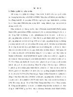 Ứng dụng bộ kít nhuộm hóa học tế bào để phân loại bệnh bạch cầu cấp theo tiêu chuẩn FAB(1) - Copy