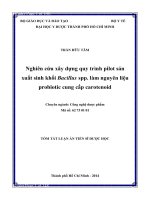 Nghiên cứu xây dựng qui trình pilot sản xuất sinh khối Bacillus spp. Làm nguyên liệu probiotic cung cấp carotenoid