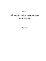 KỸ THUẬT GIẢM PAPR TRONG MIMO và OFDM dùng MATLAB (có code đầy đủ)