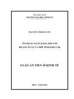 Tín dụng ngân hàng đối với hộ sản xuất cà phê tỉnh Đắk Lắk