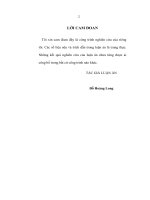 Tác động của toàn cầu hóa kinh tế đối với dòng vốn đầu tư trực tiếp nước ngoài vào Việt Nam