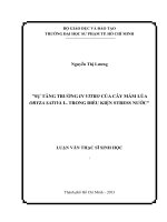 Sự tăng trưởng in Vitro của cây mầm lúa Oryza Sativa L. trong điều kiện Stress nước