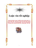 Luận văn về kinh tế môi trường