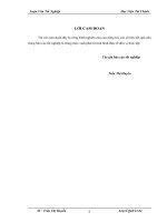 Tổ chức kế toán bán hàng và kết quả bán hàng tại công ty cổ phần viglacera hợp thịnh 