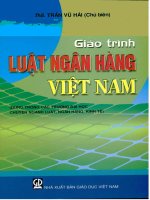 Giáo trình luật ngân hàng việt nam