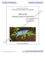Tiểu luận khoa kĩ thuật hoá học AEROGEL SILICA và ỨNG DỤNG