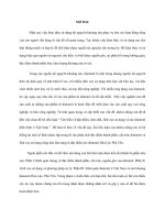 Tiểu luận tìm hiểu về đặc điểm, tính chất, lĩnh vực sử dụng và mỏ diatomit điển hình ở việt nam