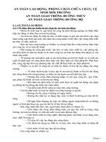 BIEN PHAP AN TOAN LAO DONG  GIAO THONG DUONG THUY DUONG BO CHAY NO