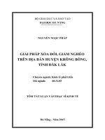 Luận văn Thạc sĩ Kinh tế Giải pháp xóa đói, giảm nghèo trên địa bàn huyện Krông Bông, tỉnh Đăk Lăk