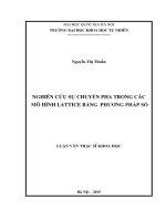 Nghiên cứu sự chuyển pha trong các mô hình Lattice bằng phương pháp số