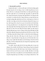 Tiểu luận Tăng cường hiệu lực, hiệu quả quản lý Nhà nước về đô thị.