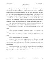 báo cáo thực tập tổng hợp tại công ty TNHH babeeni việt nam 