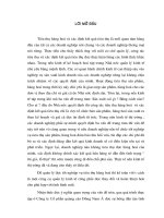 Hoàn thiện kế toán bán hàng và xác định kết quả bỏn hàng tại công ty cổ phần quảng cáo đông nam á 