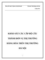 Đề tài  khảo sát các cấp độ cấu thành đơn vị thị trường hàng hóa trên thị trường hà nội