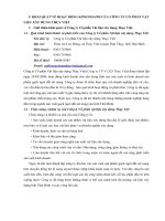 báo cáo thực tập  tổng hợp tại công ty cổ phần vật liệu xây dựng thụy việt 