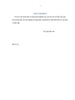 Định hướng và các giải pháp nhằm tăng cường thu hút đầu tư trược tiếp nước ngoài vào các khu công nghiệp tỉnh kiên giang giai đoạn 2014  2020 