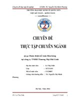 Hoàn thiện kế toán bán hàng tại công ty TNHH TM hải linh 