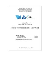 BÁO CÁO  THỰC TẬP TỐT NGHIỆP  CÔNG TY TNHH FRITTA VIỆT NAM
