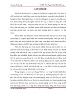 HOÀN THIỆN kế TOÁN bán HÀNG tại CÔNG TY CP THƯƠNG mại mỹ ANH  