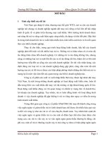 Giải pháp ngăn ngừa và giảm thiểu rủi ro kinh doanh công ty cổ phần SXXNK dệt may 