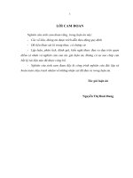 Xây dựng và quản lý thương hiệu của các doanh nghiệp may Việt Nam