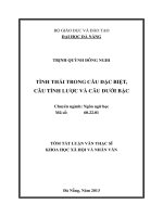 Luận văn Thạc sĩ Khoa học xã hội và nhân văn Tình thái trong câu đặc biệt, câu tỉnh lược và câu dưới bậc