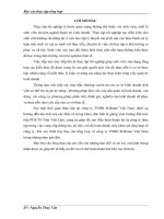 báo cáo thực tập tổng hợp tại CÔNG TY TNHH  b  BRAUN VIỆT NAM 