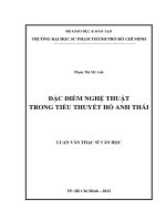 Đặc điểm nghệ thuật trong tiểu thuyết Hồ Anh Thái