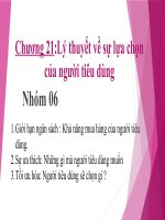 lý thuyết về sự lựa chọn của người tiêu dùng