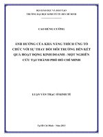 Ảnh hưởng của khả năng thích ứng tổ chức với sự thay đổi môi trường đến kết quả hoạt động kinh doanh   một nghiên cứu tại thành phố hồ chí minh 
