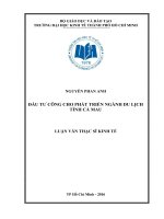 Luận văn thạc sĩ đầu tư công cho phát triển ngành du lịch tỉnh cà mau 