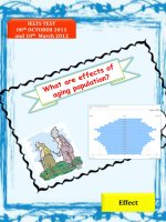 Tuyển tập bài luận tiếng anh luyện thi IELTS  Lê Na