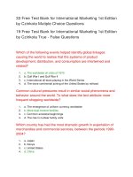 52 free test bank for international marketing 1st edition 