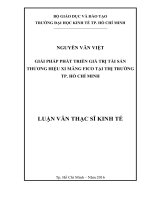 Giải pháp phát triển giá trị tài sản thương hiệu xi măng fico tại thị trường thành phố hồ chí minh 